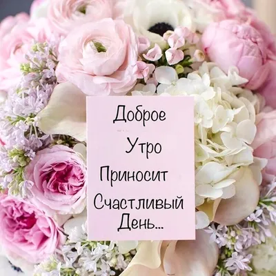 Слайд шоу Like | Доброе утро... Цветы красивые в подарок... | Дзен