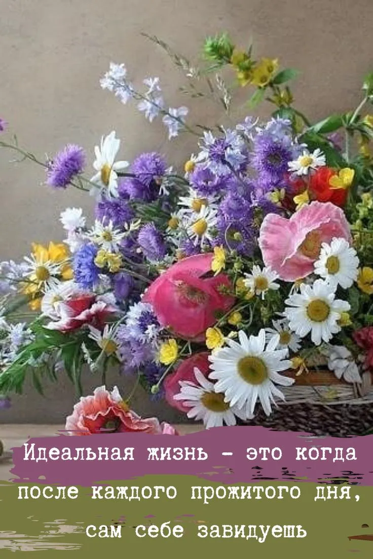 https://cerenas.club/34520-dobroe-utro-cvety-otkrytki-krasivye.html https://cerenas.club/34520-dobroe-utro-cvety-otkrytki-krasivye.html