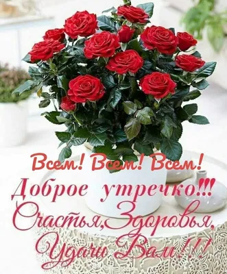 https://dzen.ru/a/ZetvggBQmC8HsC8-
