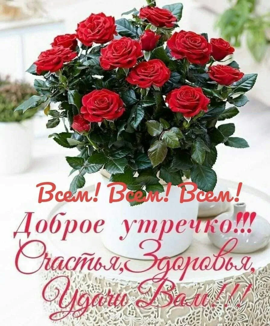 https://dzen.ru/a/ZetvggBQmC8HsC8- https://dzen.ru/a/ZetvggBQmC8HsC8-