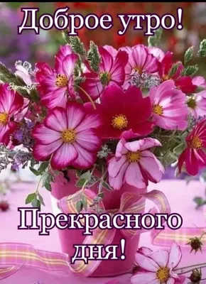 Красивая открытка с добрым утром. Букет цветов и пожелание чудесного утра.  Бабочки, цветы, фрукты, молоко. Пусть утро будет чудным, добрым, а день -  везением наполнен!