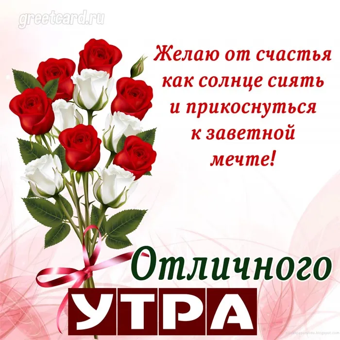 Картинка: красивые цветы с добрым утром Картинка: красивые цветы с добрым утром