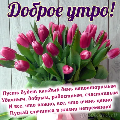 Утренний кофе | Розовые розы, Букет цветов, Розы