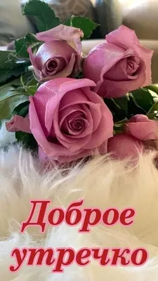 Доброе утро с цветами - новые открытки (72 ФОТО)