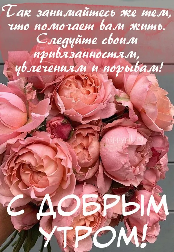 Картинки с добрым утром красивые цветы - 81 фото Картинки с добрым утром красивые цветы - 81 фото
