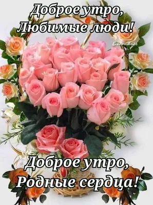 Открытки с добрым утром - страница № 2