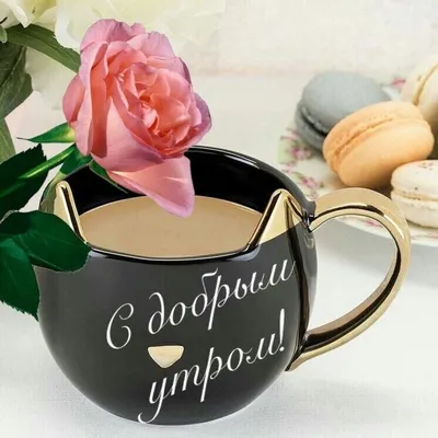Создать мем \"доброе утро пожелания, с добрым утром красивые пожелания, доброе  утро розы\" - Картинки - Meme-arsenal.com