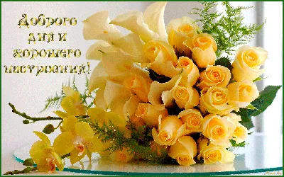 Родным и любимым людям - Доброе утро!!! 💋❤️🥰💐💝 | Цветы на рождение,  Красивые розы, Поздравительные открытки