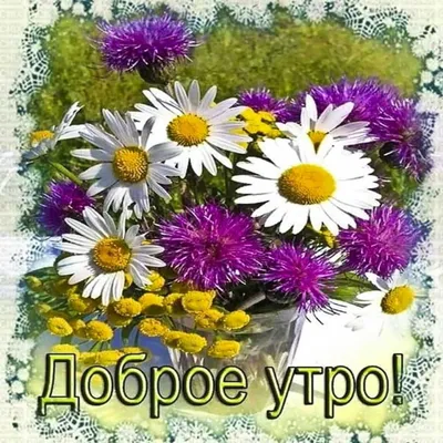 Открытки с добрым утром с цветами (50 штук)