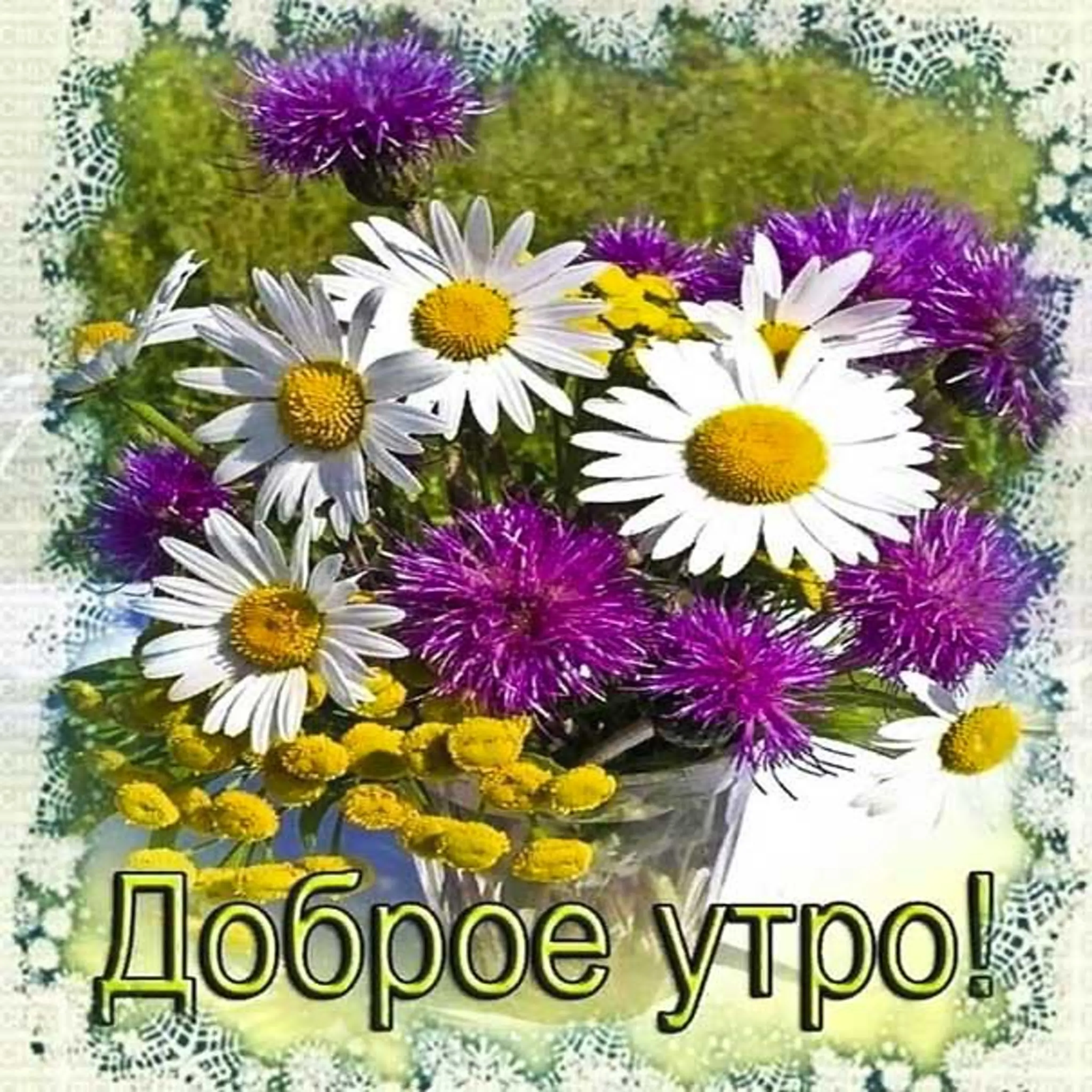 Открытки с добрым утром с цветами (50 штук) Открытки с добрым утром с цветами (50 штук)