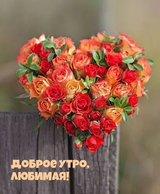 Розы! Картинки с добрым утром и хорошего настроения, картинки доброе утро  хорошего настроения и дня! | Цветок, Желтая роза, Красивые цветы