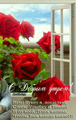 https://dzen.ru/a/ZetvggBQmC8HsC8-