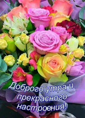 Доброе утро. Кофе. Цветы. | Кофе, Цветы, Открытки
