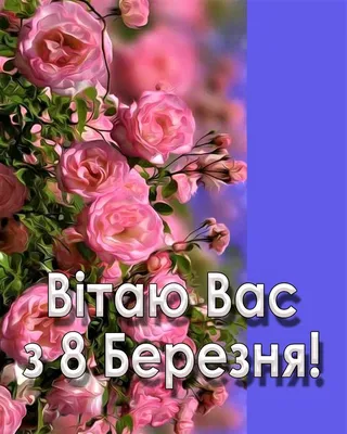 Щедрий Кошик - А ты готов к 8-му марта? ⠀ Не переживай, мы всё продумали!  😊 ⠀ Уже сейчас ты можешь приобрести у нас в магазине невероятно красивые  тюльпаны🌷 и гелиевые шары