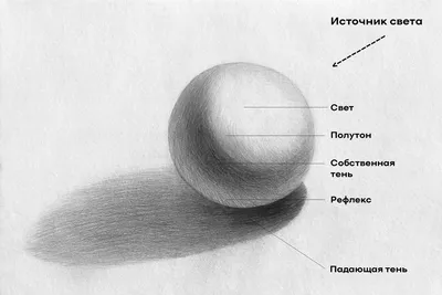 480 милых рисунков карандашом для срисовки: простые и красивые