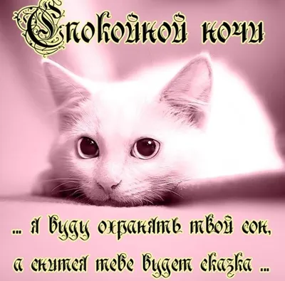 Пожелания хорошего дня в картинках, своими словами, в стихах, в смс и  христианские пожелания доброго дня — Украина