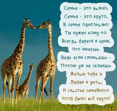 День семьи 15 мая - открытки, картинки, поздравления с Днем семьи