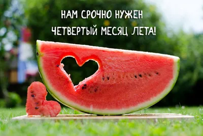 Друзья! Спасибо за ваши отзывы и добрые слова.💚 Красивые фото, интересные  видео и ваши отзывы.. | ВКонтакте