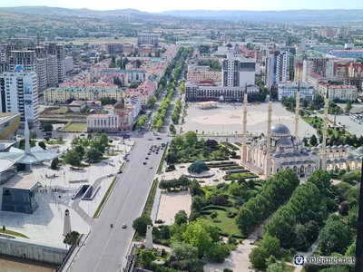 В Чечне провели рейды против граждан, одетых в камуфляж. И хотят запретить  его по всей стране