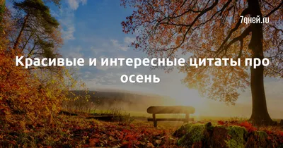 осенний сезон обои, красивый пейзаж осеннего сезона осенью, красивая  картина осеннего сезона, падение фон картинки и Фото для бесплатной загрузки