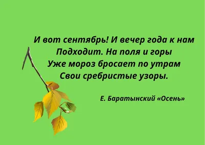 Осень, красивые листья осени летают от ветвей дерева Иллюстрация штока -  иллюстрации насчитывающей заводы, октябрь: 127003478