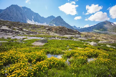 Самые красивые места Польши | Статья | Culture.pl