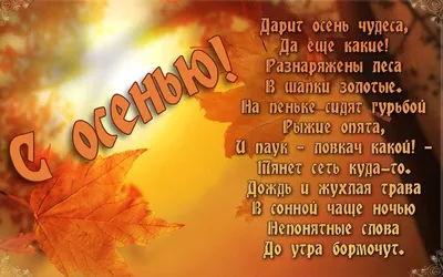 Топ-10 оригинальных букетов на 1 сентября: Необычные букеты из цветов и не  только в Семицветик