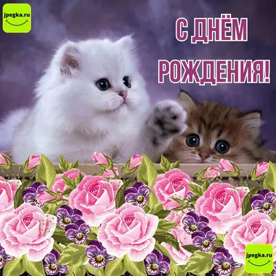 Открытки женщине \"С Днем Рождения!\" (100+)