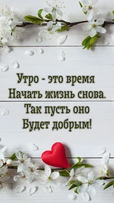 120 цитат про жизнь, которые помогут вдохновиться и задуматься