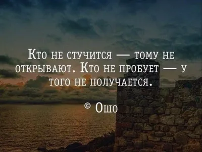 Прикольные статусы на все случаи жизни для социальных сетей: 50+ вариантов