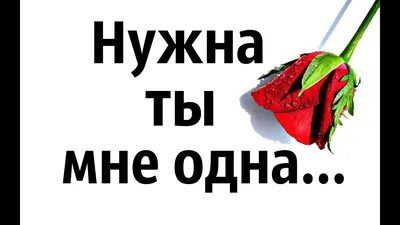 Поздравления с Днем святого Валентина 2022 - валентинки возлюбленным,  подругам и коллегам - Апостроф