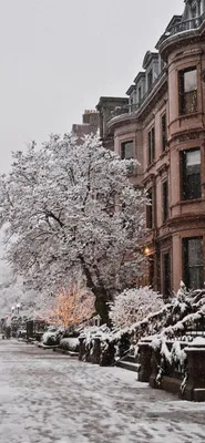 Love in the city. Winter kisses | Зимняя семейная фотография, Зимняя  фотография, Фотографии отношений