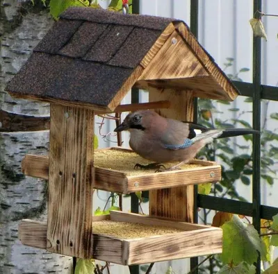 Как сделать кормушку для птиц | Bird feeders, Birdhouses rustic, Bird house