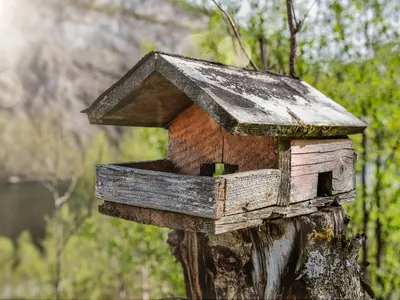 Кормушки для птиц и скворечники из оргстекла