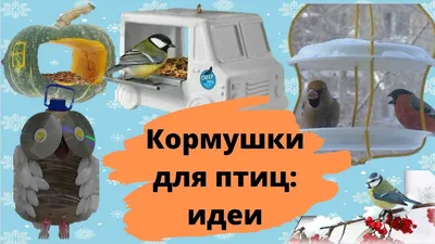 Кормушки для птиц на окна для улицы, прозрачная непромокаемая акриловая  кормушка для птиц, с сильной присоской, для внутреннего дворика, сада |  AliExpress