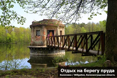 Что посмотреть в Калининградской области, если ехать не на побережье —  старинные города и следы европейского прошлого — Яндекс Путешествия