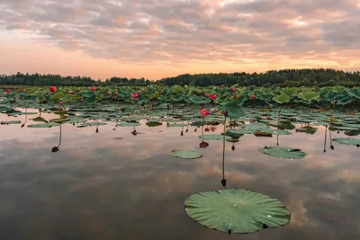 Лучшие фотографии Хабаровского края за неделю из соцсетей | 16.09.2023 |  Хабаровск - БезФормата