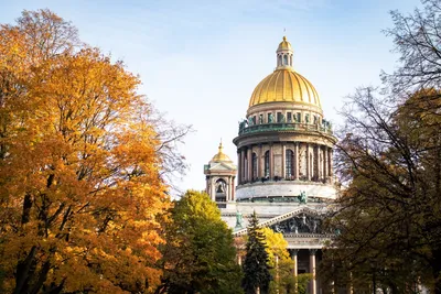 Золотая осень в Подмосковье: лучшие места для прогулок и фотосессий |  Путеводитель Подмосковья