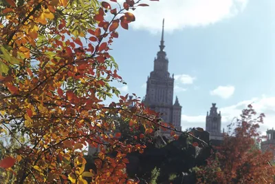 Топ-17 самых красивых мест для осенних прогулок по Москве! - ВАО Москва