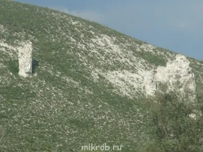 ТОП-25 культурных объектов и достопримечательностей Воронежа - Поиск и  бронирование туров