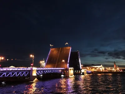 Санкт-Петербург осенью, погода и экскурсии в Санкт-Петербурге осенью |  ЕВРОИНС