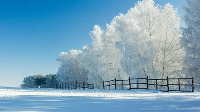 Обои зима, лес, снег, природа, церковь на телефон и рабочий стол, раздел  природа, разрешение 2048x1316 - скачать