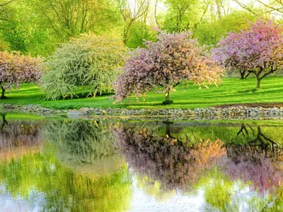 Красивые картинки: в ожидании весны 🌱🌤🌷 | Волшебный мир иллюстраций |  Дзен