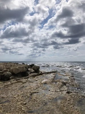 Смотрите и наслаждайтесь: фото красивых платьев в пол