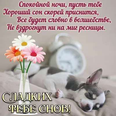 СПОКОЙНОЙ НОЧИ! КРАСИВЫХ СНОВ! 💌 #СПОКОЙНОЙНОЧИ #СПОКОЙНОЙ | TikTok