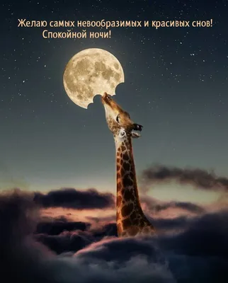 Красивых снов!🤗❤️🌹🌛✨» — создано в Шедевруме