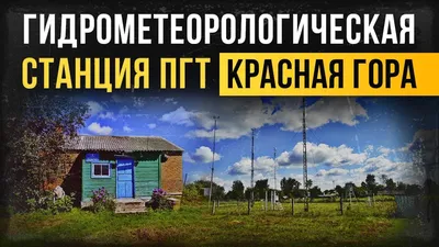 В Красногорском районе Брянской области прошёл общеобластной субботник |  РИА «Стрела»