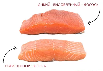 Красная рыба в сливочном соусе в духовке - пошаговый рецепт с фото на  Повар.ру