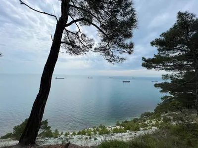 Пляж В Хуторе Бетта, Краснодарский Край, Черное Море Фотография, картинки,  изображения и сток-фотография без роялти. Image 44695832