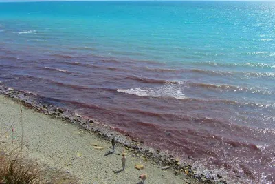 Аномальная зона и Чёрное море: где отдыхают краснодарцы в ноябре